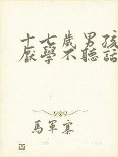 十七岁男孩叛逆厌学不听话封面