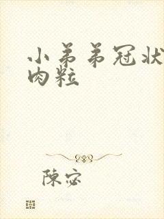 小弟弟冠状沟有肉粒封面