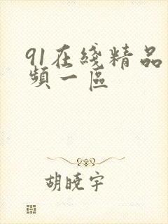 91在线精品视频一区