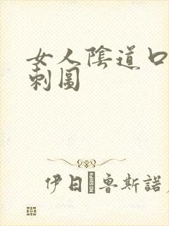 女人阴道口有肉刺图封面