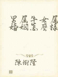 男属牛女属虎的婚姻怎么样