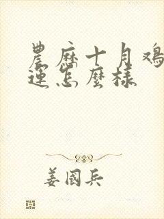 农历十月鸡女命运怎么样封面