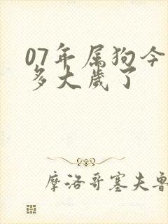 07年属狗今年多大岁了