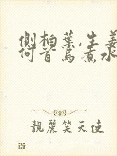 侧柏叶,生姜,何首乌煮水洗头的功效