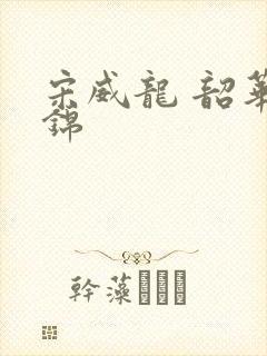 宋威龙 韶华若锦