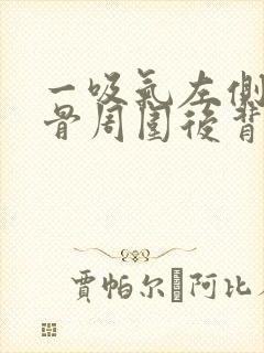 一吸气左侧肩胛骨周围后背里面疼封面