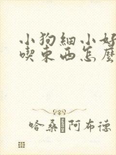 小狗细小好了不吃东西怎么办