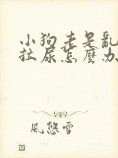 小狗老是乱拉屎拉尿怎么办