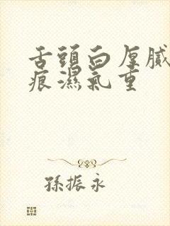 舌头白厚腻有齿痕湿气重