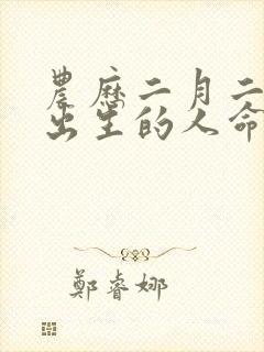 农历二月二十九出生的人命运封面