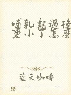 哺乳期过后胸部变小了怎么办