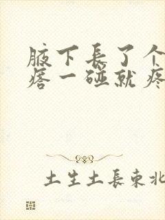 腋下长了个小疙瘩一碰就疼