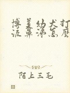 博美幼犬打喷嚏流鼻涕怎么办