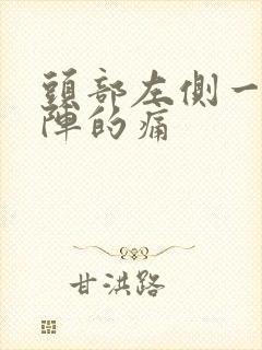 头部左侧一阵一阵的痛