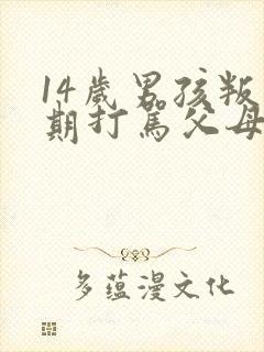 14岁男孩叛逆期打骂父母封面