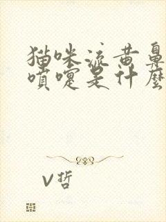 猫咪流黄鼻涕打喷嚏是什么原因