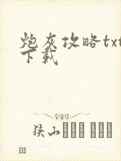 炮灰攻略txt下载