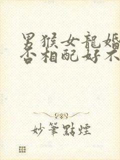 男猴女龙婚姻是否相配好不好