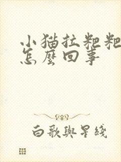 小猫拉粑粑有血怎么回事封面