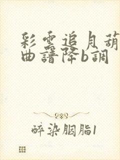 彩云追月葫芦丝曲谱降b调