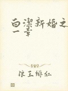 白洁新婚之夜第一章