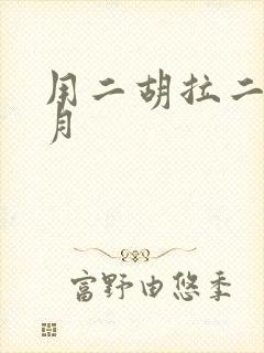 用二胡拉二泉映月