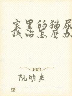 家里的猫尿闭没钱治怎么办