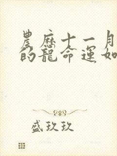 农历十一月出生的龙命运如何