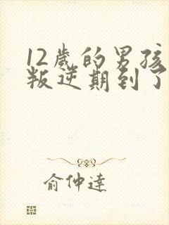 12岁的男孩子叛逆期到了吗封面