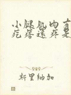 小腿肌肉有个硬疙瘩还疼是怎么回事