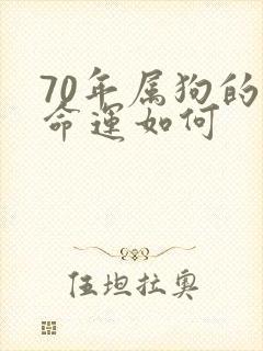 70年属狗的人命运如何