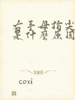 右手母指尖发麻是什么原因