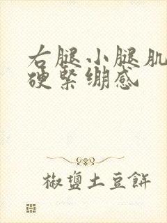 右腿小腿肌肉僵硬紧绷感