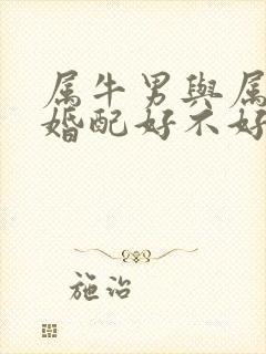 属牛男与属虎女婚配好不好