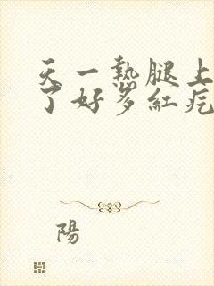 天一热腿上就起了好多红疙瘩很痒