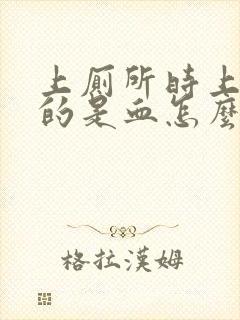 上厕所时上出来的是血怎么回事封面