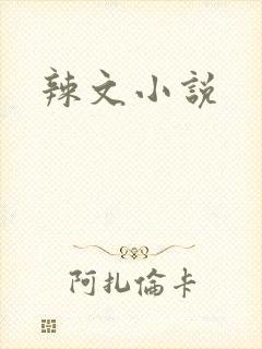 辣文小说