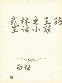 武林之王的退隐生活小说封面