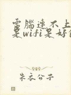 电脑连不上网但是wifi是好的