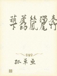 葫芦丝独奏月光下的凤尾竹降b