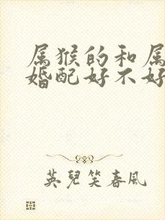 属猴的和属鸡的婚配好不好