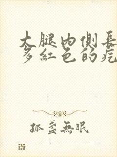 大腿内侧长了好多红色的疙瘩