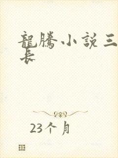 龙腾小说三宝局长