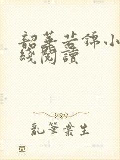 韶华若锦小说在线阅读