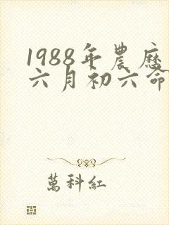 1988年农历六月初六命运怎样