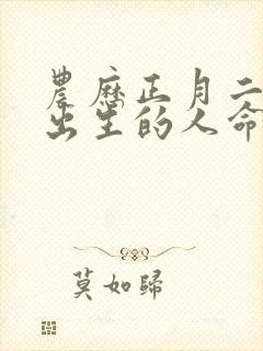 农历正月二十三出生的人命运