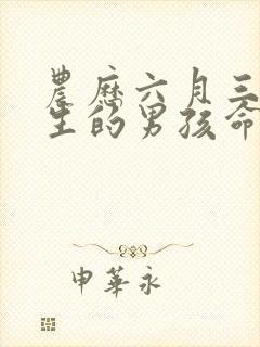 农历六月三十出生的男孩命运封面