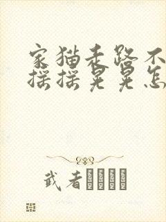 家猫走路不稳,摇摇晃晃怎么回事