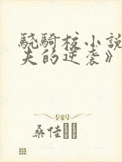 骁骑校小说《匹夫的逆袭》