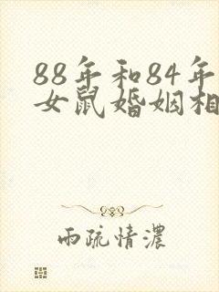 88年和84年女鼠婚姻相配吗